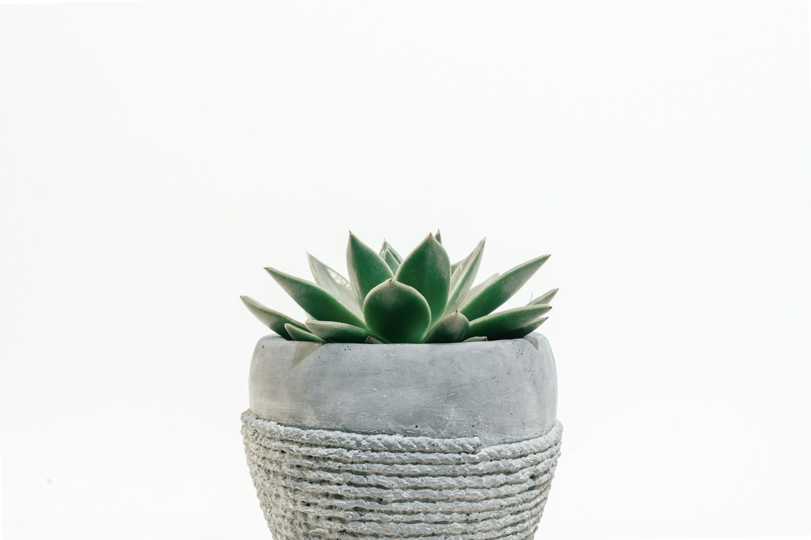 Concrete Planter
