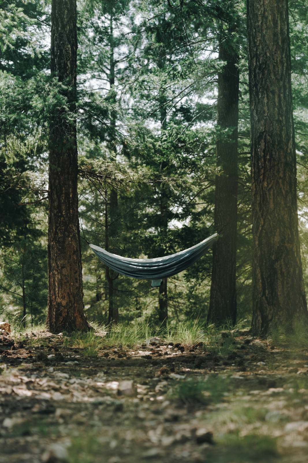 Travel Hammock