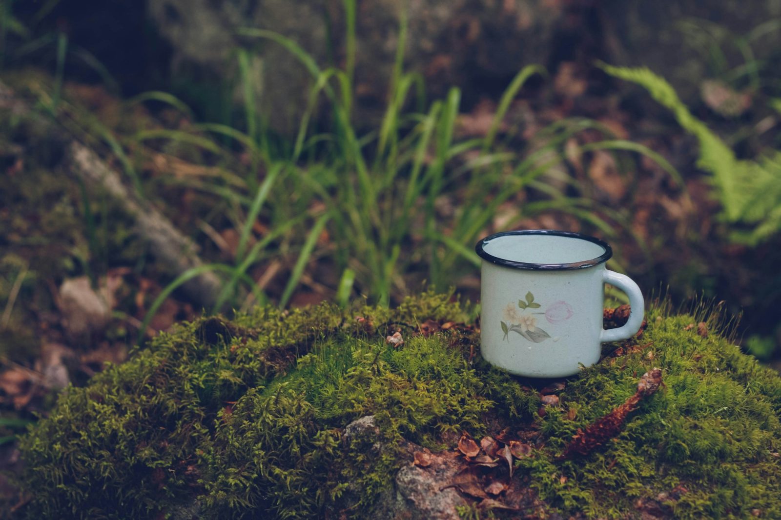Enamel Camping Mug